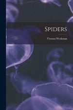 Spiders