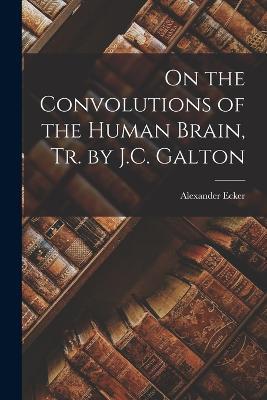 On the Convolutions of the Human Brain, Tr. by J.C. Galton - Alexander Ecker - cover