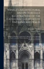 Winkle's Architectural and Picturesque Illustrations of the Cathedral Churches of England and Wales: Salisbury Cathedral. Canterbury Cathedral. York Cathedral. St. Paul's Cathedral. Wells Cathedral. Rochester Cathedral. Winchester Cathedral