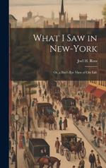 What I Saw in New-York: Or, a Bird's Eye View of City Life