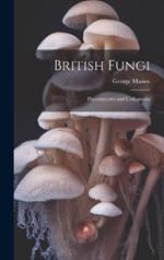 British Fungi: Phycomycetes and Ustilagineae
