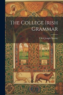 The College Irish Grammar - Ulick Joseph Bourke - cover