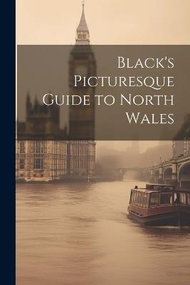 Black's Picturesque Guide to North Wales - Anonymous - cover