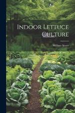Indoor Lettuce Culture
