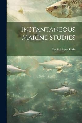 Instantaneous Marine Studies - David Mason Little - cover