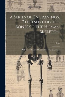 A Series of Engravings, Representing the Bones of the Human Skeleton: With the Skeletons of Some of the Lower Animals - Sue - cover
