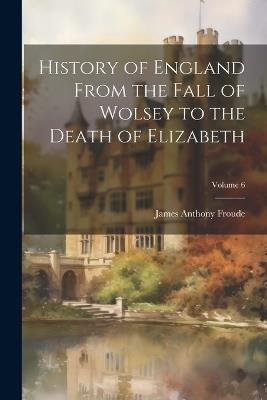 History of England From the Fall of Wolsey to the Death of Elizabeth; Volume 6 - James Anthony Froude - cover