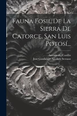Fauna Fosil De La Sierra De Catorce, San Luis Potosí... - Antonio Del Castillo - cover