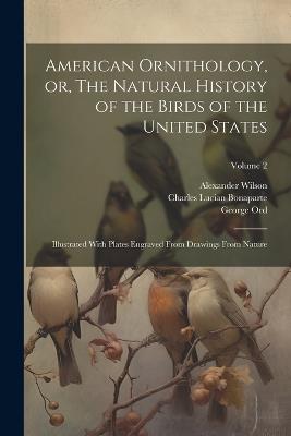 American Ornithology, or, The Natural History of the Birds of the United States: Illustrated With Plates Engraved From Drawings From Nature; Volume 2 - Alexander 1766-1813 Wilson,Charles Lucian 1803-1857 Bonaparte,Spencer Fullerton 1823-1887 Baird - cover