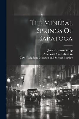 The Mineral Springs Of Saratoga - James Furman Kemp - cover