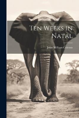 Ten Weeks in Natal - John William Colenso - cover