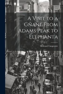 A Visit to a Gñani. From Adams Peak to Elephanta - Edward Carpenter - cover
