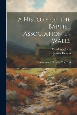 A History of the Baptist Association in Wales: From the Year 1650, to the Year 1790 - Joshua Thomas,David Sgn Jones - cover