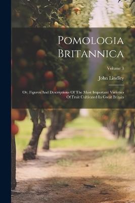 Pomologia Britannica: Or, Figures And Descriptions Of The Most Important Varieties Of Fruit Cultivated In Great Britain; Volume 3 - John Lindley - cover