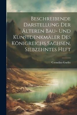Beschreibende Darstellung der älteren Bau- und Kunstdenkmäler des Königreichs Sachsen, Siebzehntes Heft - Cornelius Gurlitt - cover