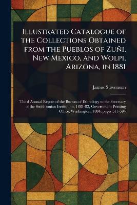 Illustrated Catalogue of the Collections Obtained From the Pueblos of Zuñi, New Mexico, and Wolpi, Arizona, in 1881 - James Stevenson - cover