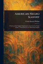 American Negro Slavery