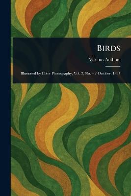 Birds - Various - cover