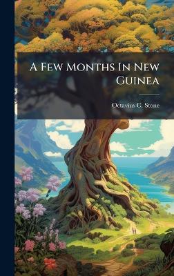 A Few Months In New Guinea - Octavius C Stone - cover