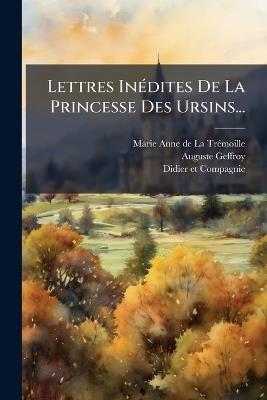 Lettres InÃ(c)dites De La Princesse Des Ursins... - Auguste Geffroy - cover