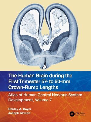The Human Brain during the First Trimester 57- to 60-mm Crown-Rump Lengths: Atlas of Human Central Nervous System Development, Volume 7 - Shirley A. Bayer,Joseph Altman - cover