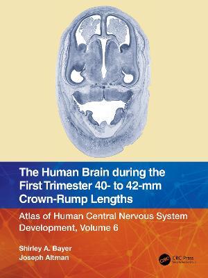 The Human Brain during the First Trimester 40- to 42-mm Crown-Rump Lengths: Atlas of Human Central Nervous System Development, Volume 6 - Shirley A. Bayer,Joseph Altman - cover