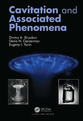 Cavitation and Associated Phenomena - Dmitry Biryukov,Denis Gerasimov,Eugeny Yurin - cover