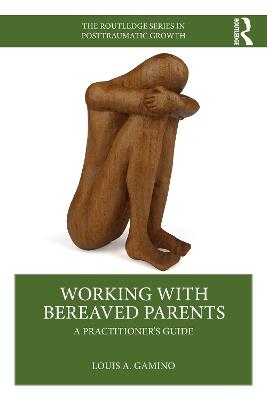 Working with Bereaved Parents: A Practitioner's Guide - Louis A. Gamino - cover