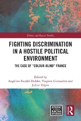 Fighting Discrimination in a Hostile Political Environment: The Case of “Colour-Blind” France - cover