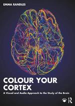 Colour Your Cortex: A Visual and Audio Approach to the Study of the Brain