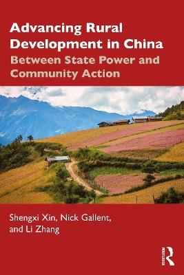 Advancing Rural Development in China: Between State Power and Community Action - Shengxi Xin,Nick Gallent,Li Zhang - cover