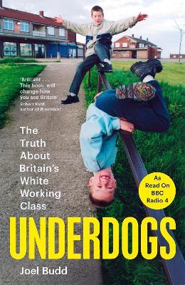Underdogs: The Truth About Britain's White Working Class - Joel Budd - cover