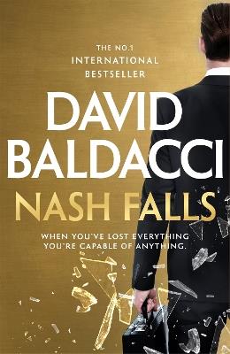 Nash Falls - David Baldacci - cover