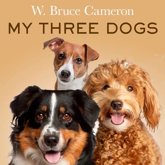 My Three Dogs