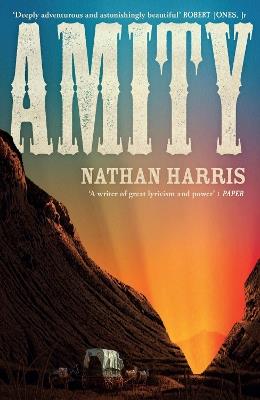 AMITY: from the Booker-longlisted author of The Sweetness of Water - Nathan Harris - cover