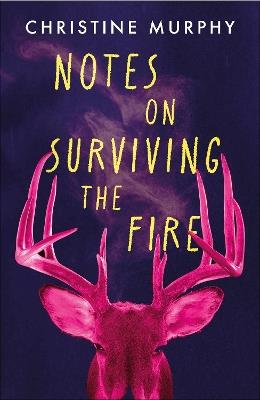 Notes on Surviving the Fire: A razor-sharp, darkly funny literary novel about male violence, a woman's vengeance, and whether killing can ever be justified - Christine Murphy - cover