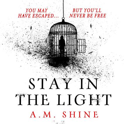 Stay in the Light
