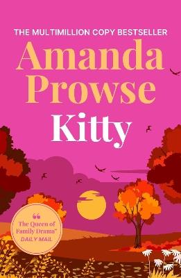 Kitty: A heart-warming story about second chance romance, previously titled 'How to Fall in Love Again' - Amanda Prowse - cover