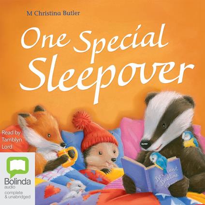 One Special Sleepover