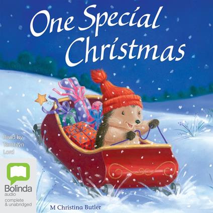 One Special Christmas