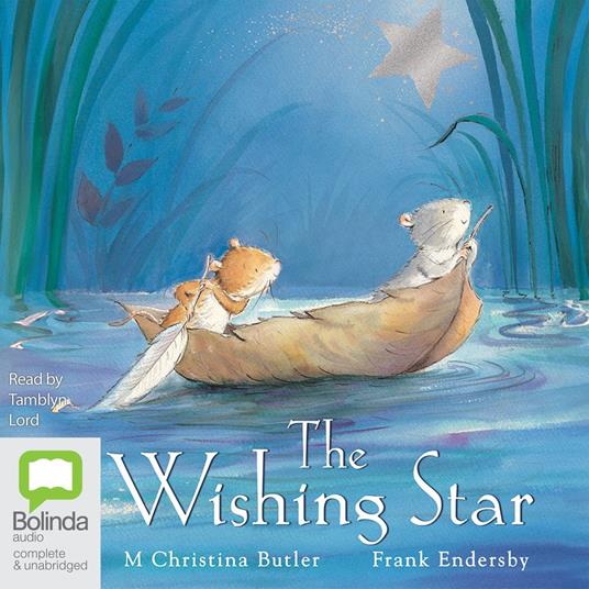 The Wishing Star