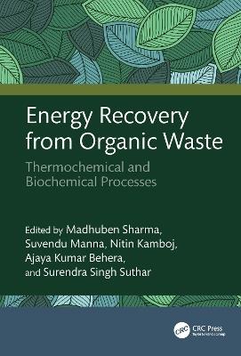 Energy Recovery from Organic Waste: Thermochemical and Biochemical Processes - cover