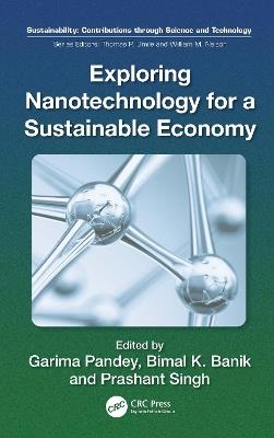 Exploring Nanotechnology for a Sustainable Economy - cover