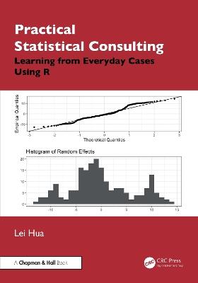 Practical Statistical Consulting: Learning from Everyday Cases Using R - Lei Hua - cover