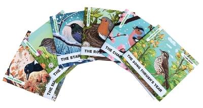 Enchanted Nature - Garden Birds Pack: Pack of Six Decodable Readers (Ages 5-7) - Caroline Petherbridge - cover