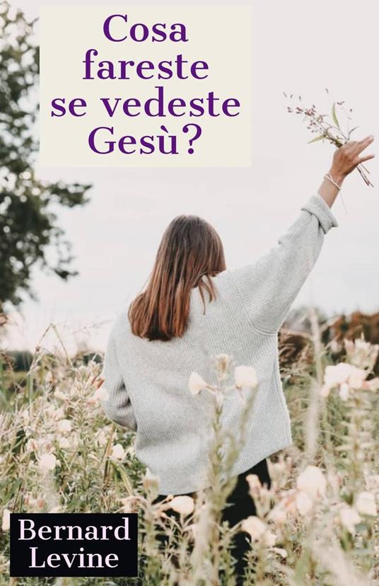 Cosa fareste se vedeste Gesù? - Bernard Levine - ebook