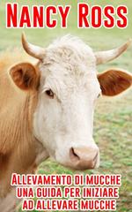 Allevamento di mucche - una guida per iniziare ad allevare mucche