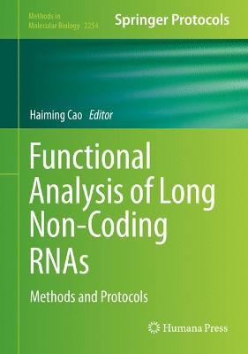 Functional Analysis of Long Non-Coding RNAs: Methods and Protocols - cover