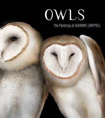 Owls: The Paintings of Jeannine Chappell - Jeannine Chappell - cover