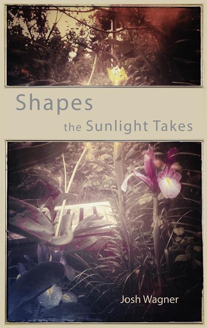 Shapes the Sunlight Takes